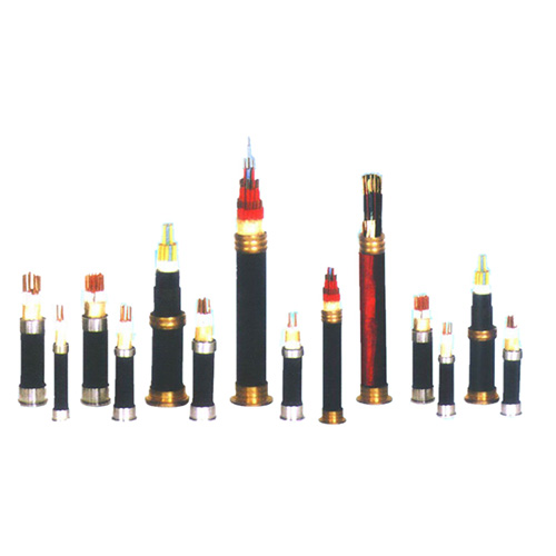 交联聚乙烯阻燃控制电缆